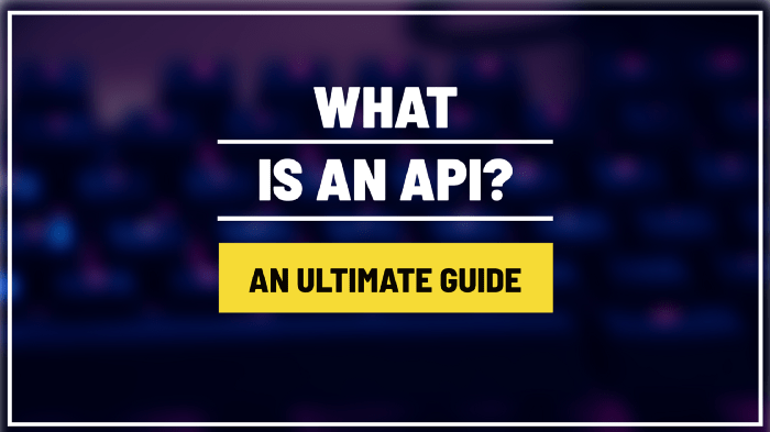 What Is an API