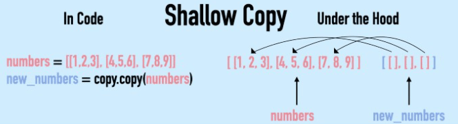 Shallow copy in Python