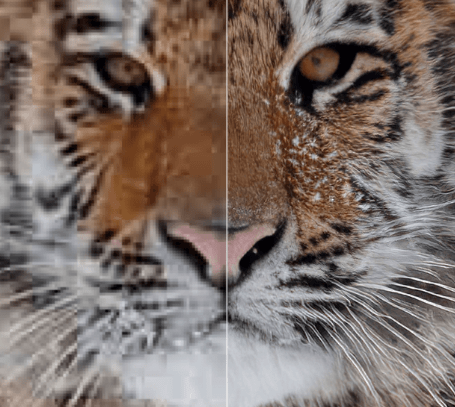 Gigapixel AI upscaler operating on a Tiger image