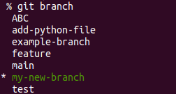 Checking git branches after doing a git checkout to a new branch