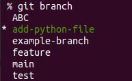 Checking what branches are available with git branch command