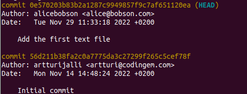 checking git log on a detached head state