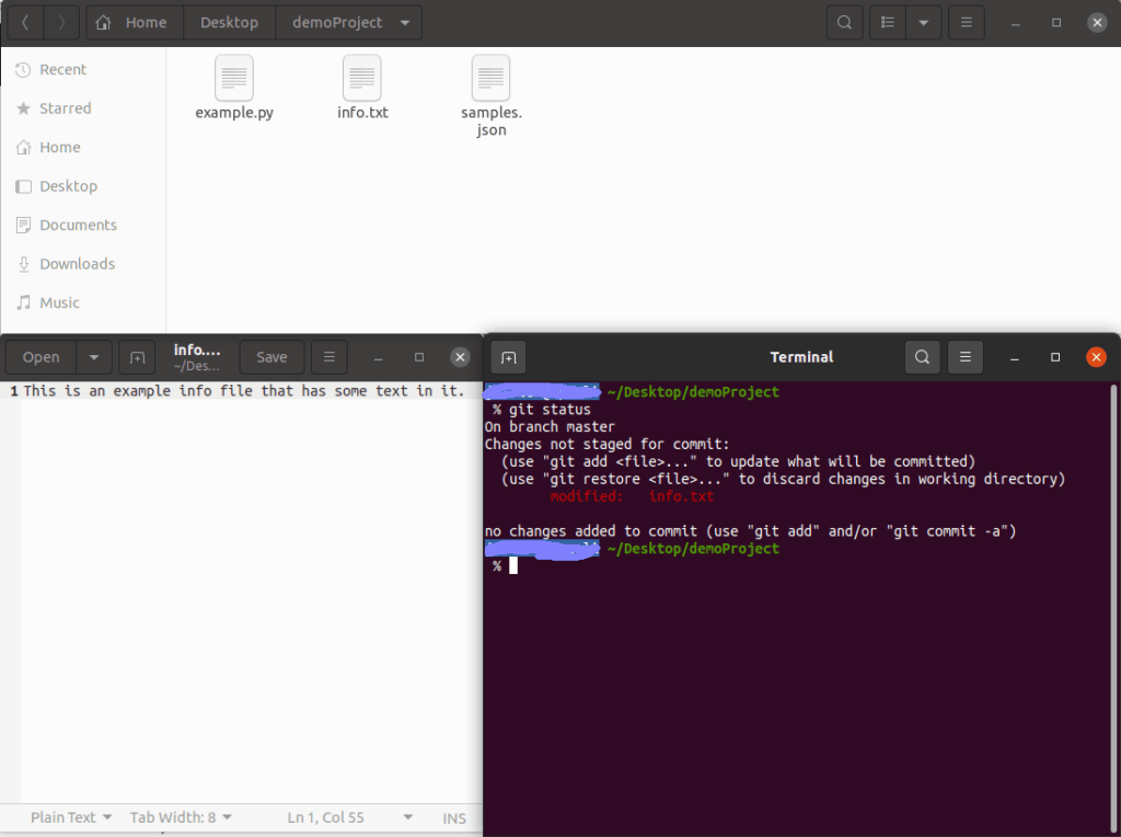 Checking the status of a project using git status command